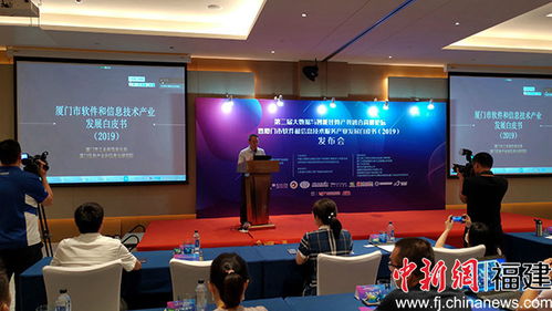 廈門軟件業(yè)領(lǐng)跑全省，技術(shù)服務(wù)成新引擎