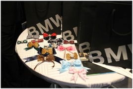 京順寶BMW 3系麗人節主題活動圓滿落幕，以“悅己”之姿，馭風而行